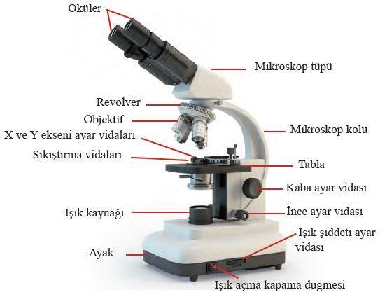 Işık mikroskobun mekanik ve optik kısımları 2.1.2.Optik Kısmını Oluşturan Parçalar Objektif: Revolver üzerine monte edilmiştir, Görüntünün ilk oluştuğu ve görüntü netliği ile ilgili parçadır.