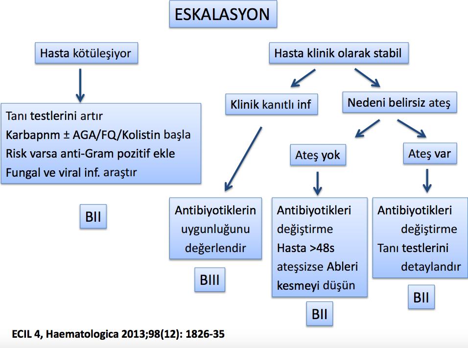 İzlem ECIL 4,