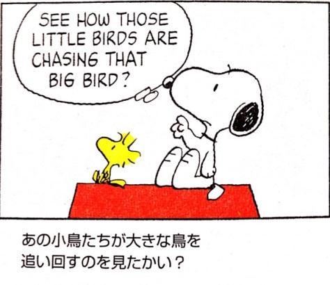 (30) あの小鳥たちが大きな鳥を追い回すのを見たかい Ano-ko-tori-tachi ga ōkina tori o oimawasu-no o mi-ta-kai? İş. S. Küçük-kuş-Çğl. Yal.