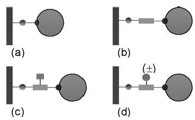 1. GİRİŞ Özlem ALPTEKİN Şekil 1.11. Enzimin desteğe doğrudan (a), doğrusal ara kol (b), dallanmış ara kol (c) ve yüklü ara kol (d) üzerinden immobilizasyonu (Cao, 25