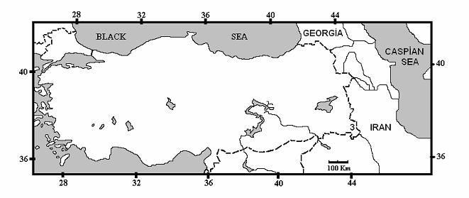 (2000) yaptıkları çalışmada Türkiye örneklerinde 2n sayısının sabit bir şekilde 42 olarak saptamışlardır. Diploid kromozom sayısındaki sabitliğe karşın Yiğit vd.