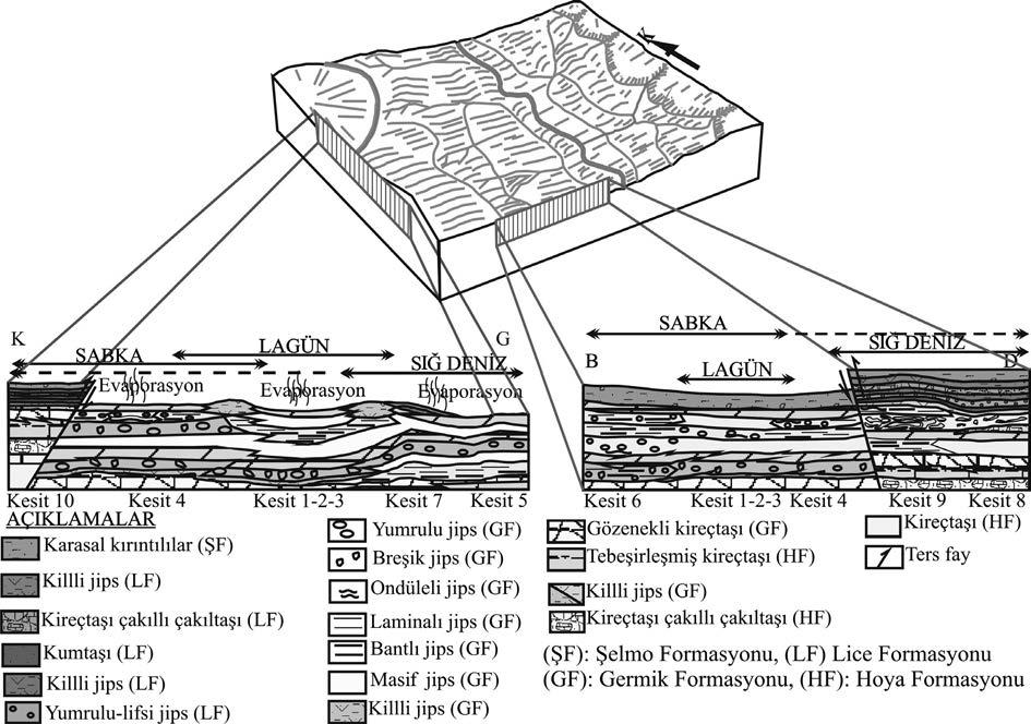 18 Yerbilimleri Şekil 13. Germik Formasyonu K-G ve B-D yönlü ölçülü stratigrafik kesitlerdeki litofasiyesler ve depolanma ortamları Figure 13.