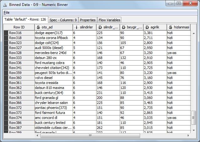 Şekil-17 : Numeric Binner execute görünüm 18.