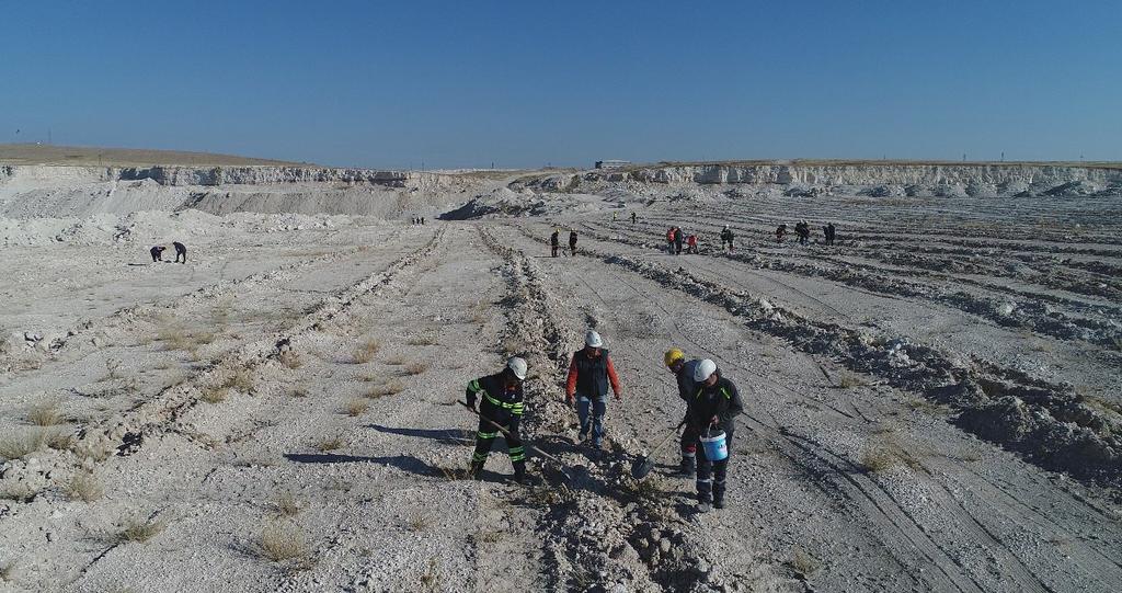 Toplamda 120 bin adet badem tohumu dikimi yapılmıştır.