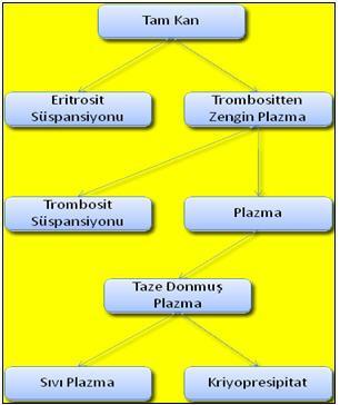 Kan komponentleri (kan bileģenleri, kan ürünleri); eritrosit, lökosit, trombosit konsantreleri ile taze plazma ve kriopresipitatlarıdır. Tam kandan ayrıģtırılarak elde edilirler.