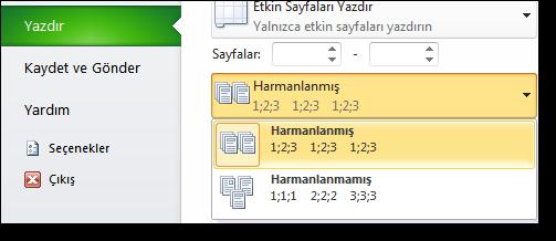 Eğer bir sayfanın birden fazla kopyasının yazdırılması tercih edilirse, aynı sayfada üstte yer alan Kopya alanı kullanılabilir.