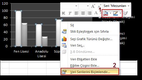 Şekildeki seçim gerçekleştirilir ise daha önceki örnek grafik yandaki şekilde Belirli stiller dışında özel