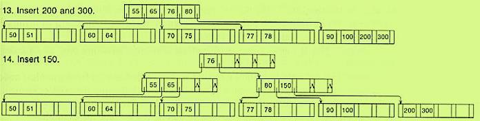 Örnek d = 2 (capacity order)