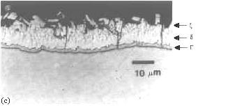 Van der Heiden ve arkadaşları 2 SEM (Tarama Elektron Mikroskobu) stereo fotoğraflarıyla tipik tavlı çinko kaplamaların yüzeylerini incelemiş ve "krater" oluşumları belirlemiştir.