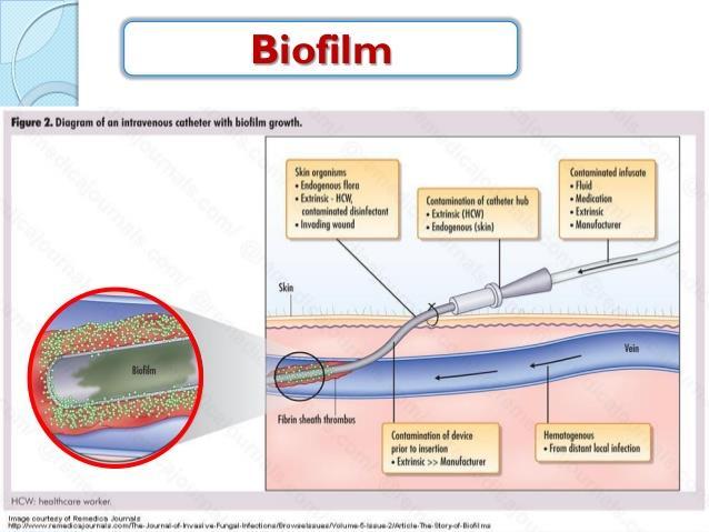 Konak faktörleri (fibrin, fibrinojen) ve mikrobiyal