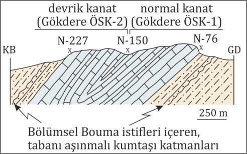 İzmir ve çevresinde doğrudan Beytitepe Kireçtaşı nın yaşı hakkında veriler içeren çalışmalar olmakla birlikte, ilk sağlıklı veriler [3] tarafından elde edilmiş, planktonik foraminiferlere dayalı