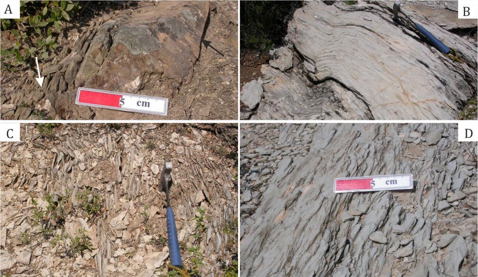 Şekil 5. Gökdere ÖSK-1 boyunca çeşitli düzeylere ait kaya türleri, A) İstifin tabanında gözlenen ve bölümsel Bouma istifleri içeren kumtaşları.