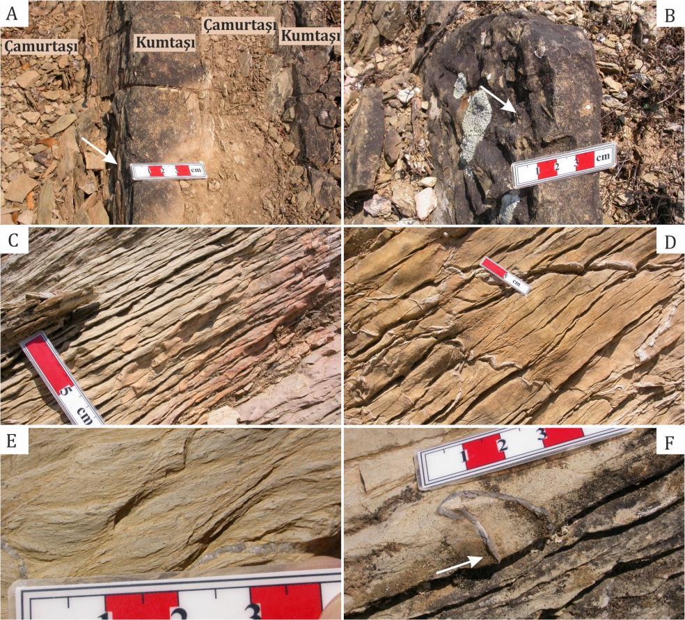 Şekil 7. Gökdere ÖSK-2 boyunca çeşitli düzeylere ait kaya türleri, A,B) İstifin tabanında yer alan flişin yakından görünümü. Bölümsel Bouma istifleri içeren kumtaşı katmanları devrik konumdadır.