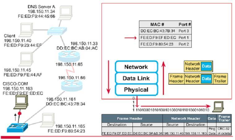 Paketlerin Network Üzerinden Akışı Veriler