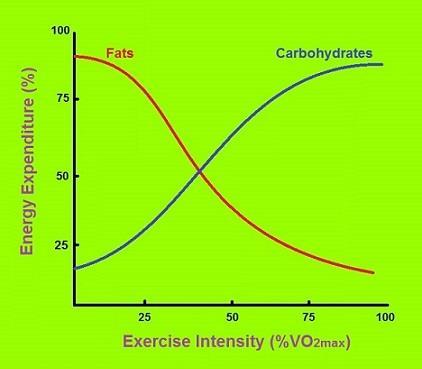 Egzersizin yoğunluğu & kullanılan enerji Egzersizin yoğunluğuna göre kullanılan enerji kaynağı değişmektedir.