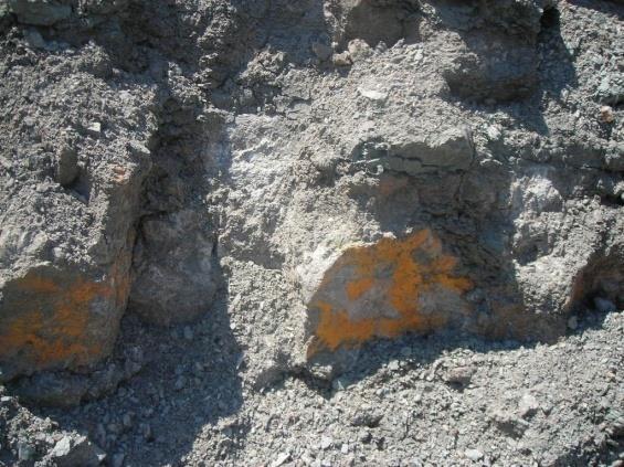 A B A, B- Hisarcık bor yatağında görülen sarı renkli orpiment minerali (Atabey, 2009).