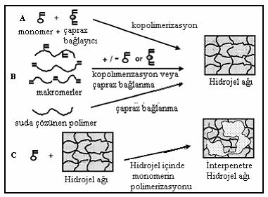 17 Peppas ve arkadaşları, PEG-dimetakrilat ve PEG-monometakrilatmakromerlerinin çözelti kopolimerizasyonu sonucunda biyolojik uyumluluğu yüksek, PEG çapraz bağları içeren akrilat hidrojellerini