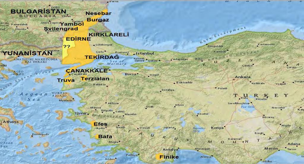 1.2. TÜRÜN DÜNYADAKİ DURUMU Günümüzde yer yediuyuru Palearktik bölgede Güneydoğu Bulgaristan, Trakya ve Batı Anadolu da dağılım göstermektedir (8, 9, 18).