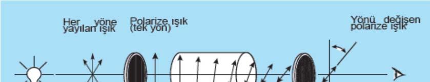 Enantiyomerlerin fiziksel ve kimyasal özellikleri büyük ölçüde aynıdır. Fakat enantiyomerler diğer asimetrik moleküllerle tepkimelerinde ve polarize ışık ile etkileşimlerinde farklılıklar gösterirler.