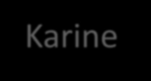 Karine Karine bir iş ve meselenin anlaşılıp çözülmesine yarayan ip ucu demektir.