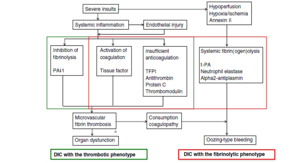 Dissemine İntravaskuler