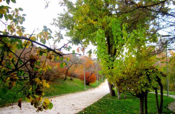 ve Dağıtım Kablolaması Sac Kablo Kanalı Tesisatı Topraklama