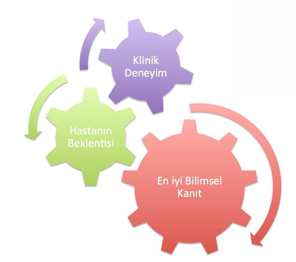 Kanıta dayalı tıbbın üç öğesi Kanıt kendi başına