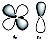 2.3 Fosfazenlerin Elektronik Yapısı 2.3.1 Düz zincirli fosfazenlerin yapısı Düz zincirli fosfazenler için şekil 2.2 de uygun rezonans formülleri gösterilmektedir. Şekil 2.
