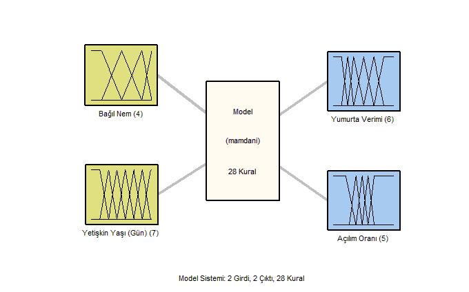 Modelde girdi ve çıktı değişkenlerinin değerleri için daha önce laboratuvar koşullarında denenmiş gerçek verilerden yararlanılmıştır. Bu veriler Gürbüz vd. (2007)'nin Pimpla turionellae L.