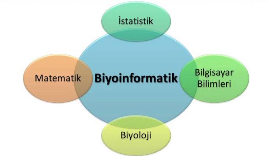 BİYOİNFORMATİKNEDİR?