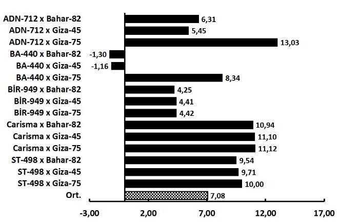 melez (F 1) ortalama değerinin, ebeveyn ortalamalarına eşit olduğundan, intermedier gen etkisi ile idare edildiği düşünülmektedir.