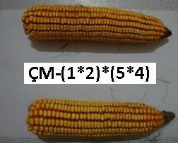 Şekil 3.6.