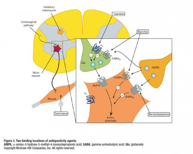 Gabapentin GABA-B reseptörlerini uyararak etki yapan bir antiepileptik Nöropatik ağrısı olanlarda tercih edilir, yan