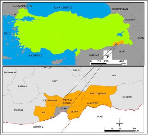 Makalede Geçen Çizim ve Resimler