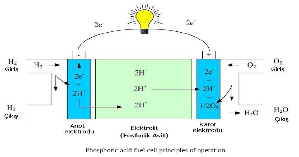 reaksiyonlarla NaBO 2 den sodyum borhidrür sentezleme çalışmaları yapılmaktadır(kirubakaran vd., 2009). 2.6.2. Fosforik Asit Yakıt Pili(PAFC) Fosforik asitli yakıt pillerinin bu ismi almasının sebebi elektrolit olarak fosforik asidin kullanılmasıdır.