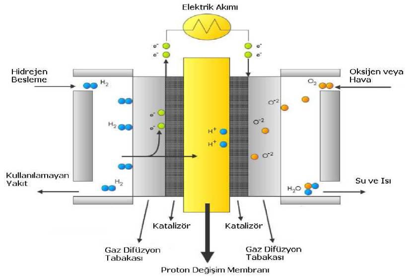 Elektrolit (Membran) Membranın temel fonksiyonu olan anot ve katot arasındaki iyonik etkileşimi gerçekleştirmektir.