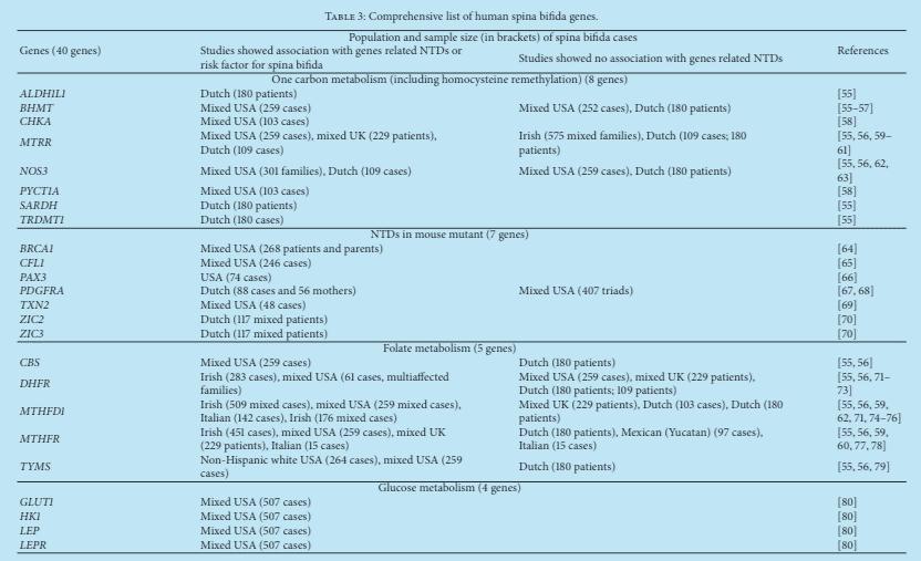 Mohd-Zin SW, Marwan AI, Abou Chaar MK, Ahmad-Annuar A, Abdul-Aziz NM: Spina Bifida: Pathogenesis,