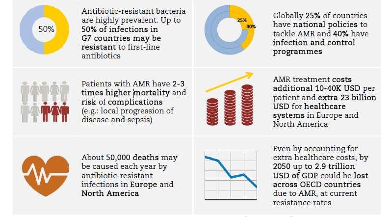 AMD: Global Bir Tehdit G7 ülkelerindeki infeksiyonların %50 si başlangıç tedavilerinde kullanılan antibiyotiklere direnç gösterebilmektedir.