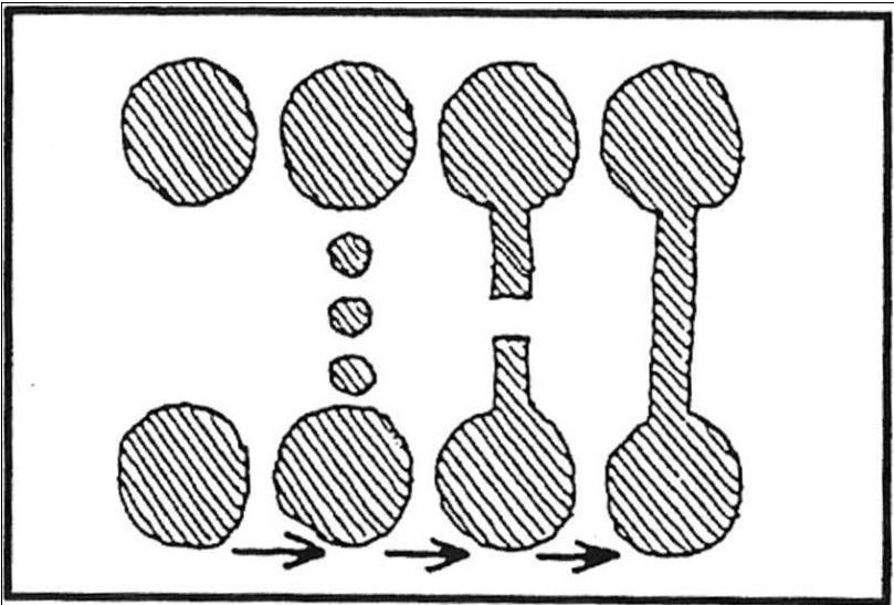 Şekil 2.4 Adım taşları bağlantılılığı (Dramstad vd 1996) (Doğan 2012). 5.