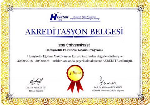 Fakültemiz hemşirelik lisans eğitim programı, Hemşirelik Eğitim Programları Değerlendirme