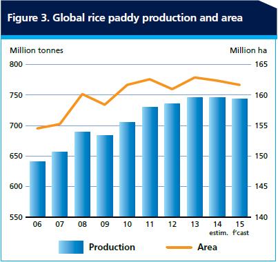 TİCARET FAO tahminlerini; pirinç ticaretinde baz alınan gümrük kayıtlarındaki