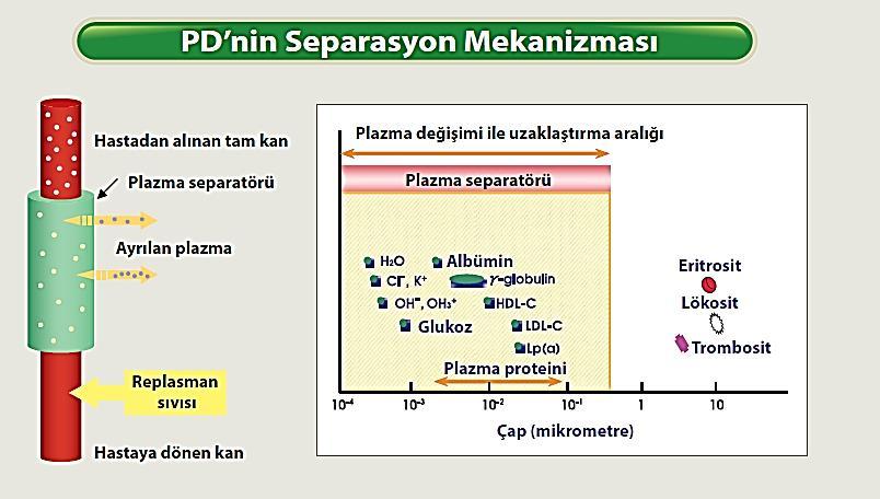 TERAPÖTİK PLAZMA DEĞİŞİMİ (PLASMA EXCHANGE)-TPD-2 Büyük molekül ağırlıklı maddelerin uzaklaştırılması Patojenik otoantikorlar İmmun