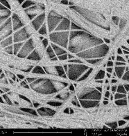 Şekil 4.37. % 12,5 PU ve % 1,27 TEAB çözeltisinden elde edilen nano liflere ait SEM görüntüsü (x15.