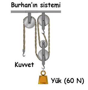 D) Mustafa ve Oral, karikatüre uygun örnekler vermiştir. 2. Bezelyelerde sarı tohum geninin, yeşil tohum genine baskın olduğu biliniyor.