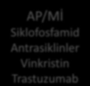 Antrasiklinler