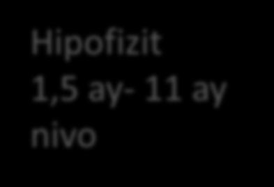 hipertrod %3 1gün-