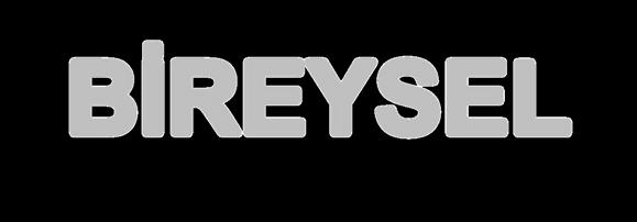 Biz Ne Yaptık? 1. BİREYSEL a. Güvenli Elektronik İmza (93/2007 Sayılı Elektronik İmza Yasası Kapsamında) b.