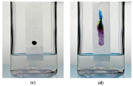 Karışımların Ayrılması:Fiziksel Bir İşlem (c) Mürekkebin kromatografik olarak bileşenlerine ayrılması: Su kağıt üzerinde ilerledikçe siyah mürekkep koyu bir leke