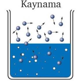 Kaynama ve buharlaşma belirli bir sıcaklıkta gerçekleşir. III.