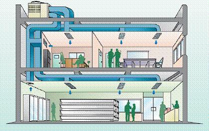 (Legionella) Nezle (soğuk algınlığı),